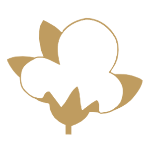 Dct Trading Dış Ticaret Aş