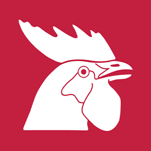 Horoz Lojistik Kargo Hizmetleri Ve Ticaret Aş